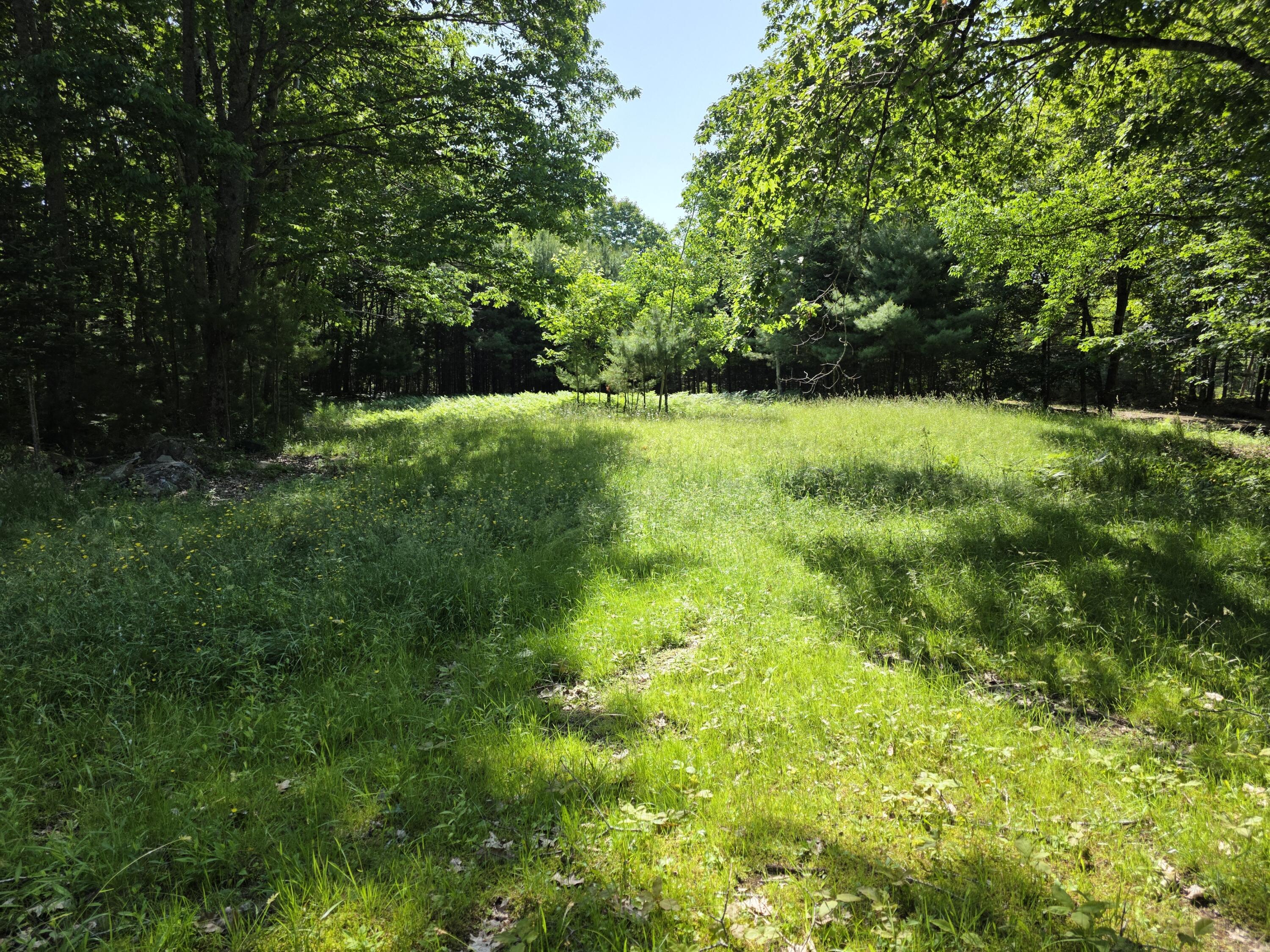 54 Gross Point Road Orland, ME 04472 - Photo 8 of 15 20250621_092309