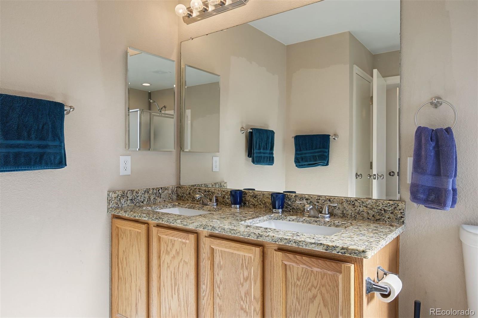 5887 Raleigh Circle Castle Rock, CO 80104 - Photo 21 of 30