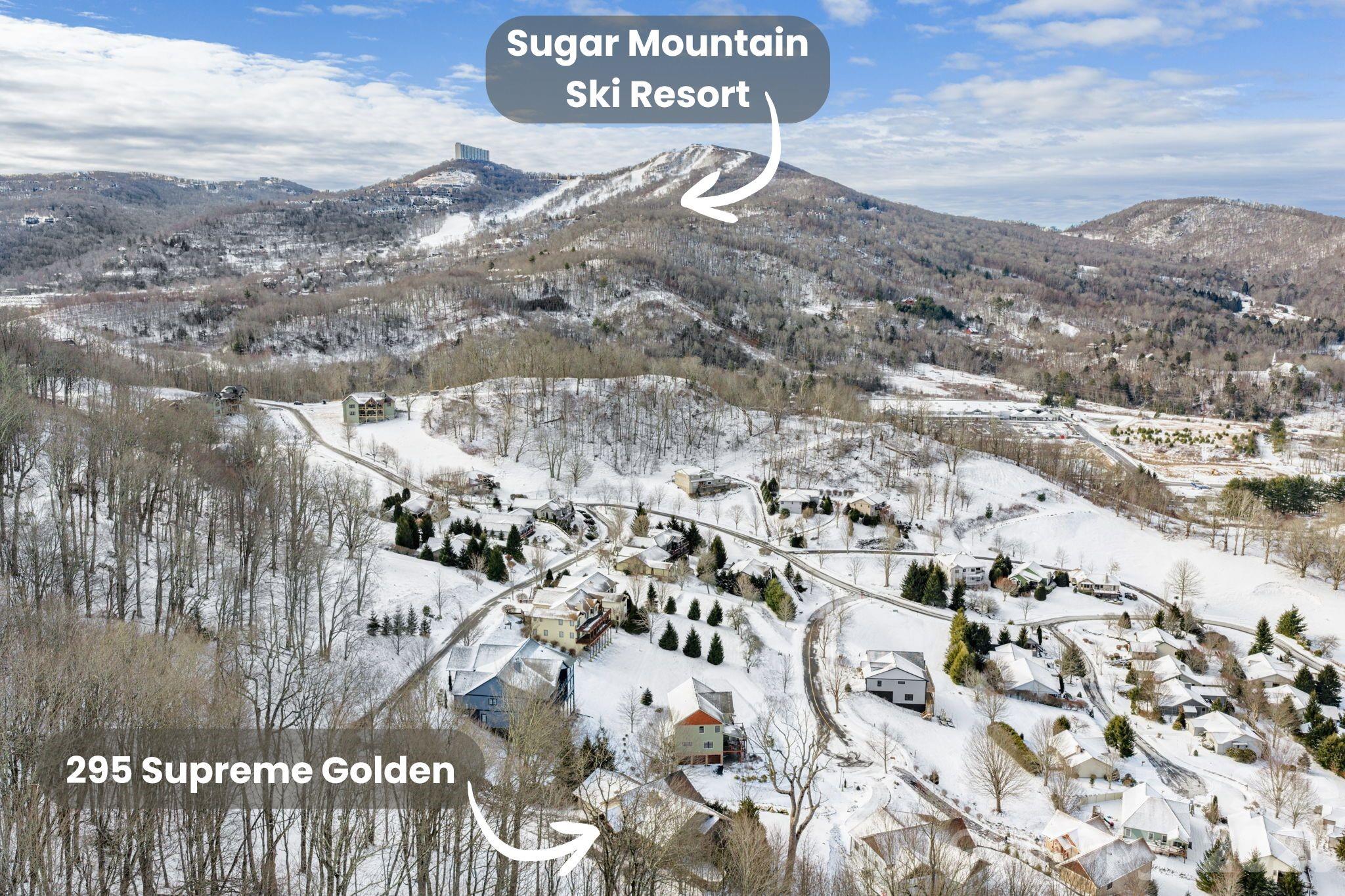 295 Supreme Golden Road Banner Elk, NC 28604 - Photo 3 of 41