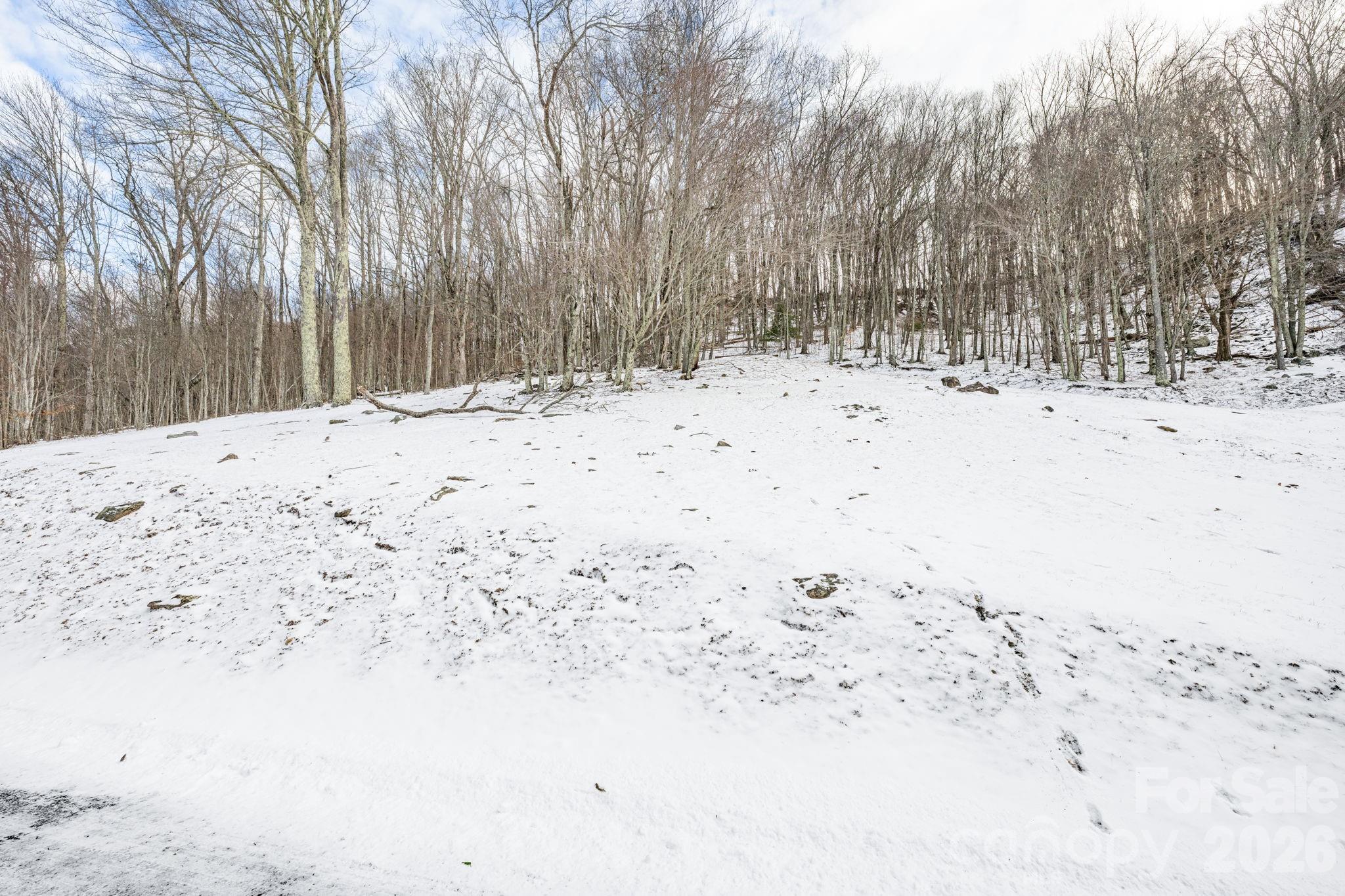 295 Supreme Golden Road Banner Elk, NC 28604 - Photo 35 of 41