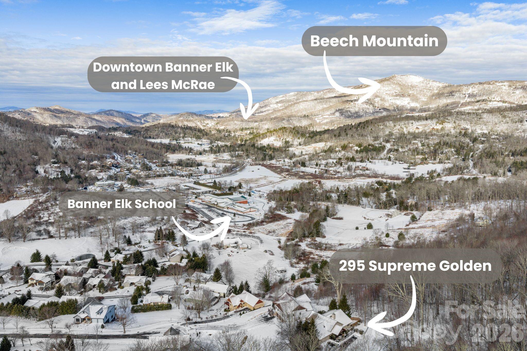 295 Supreme Golden Road Banner Elk, NC 28604 - Photo 4 of 41