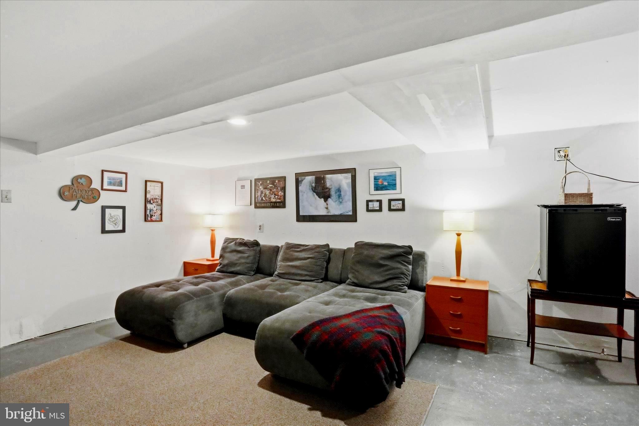 520 Elm Street Frederick, MD 21701 - Photo 26 of 30 Basement family room.