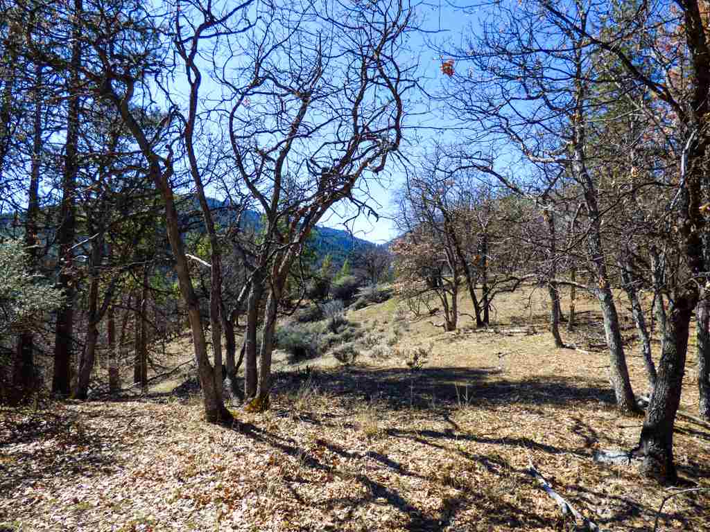 0 Greenhorn Road Yreka, CA 96097 - Photo 14 of 27 Gallery Image 14
