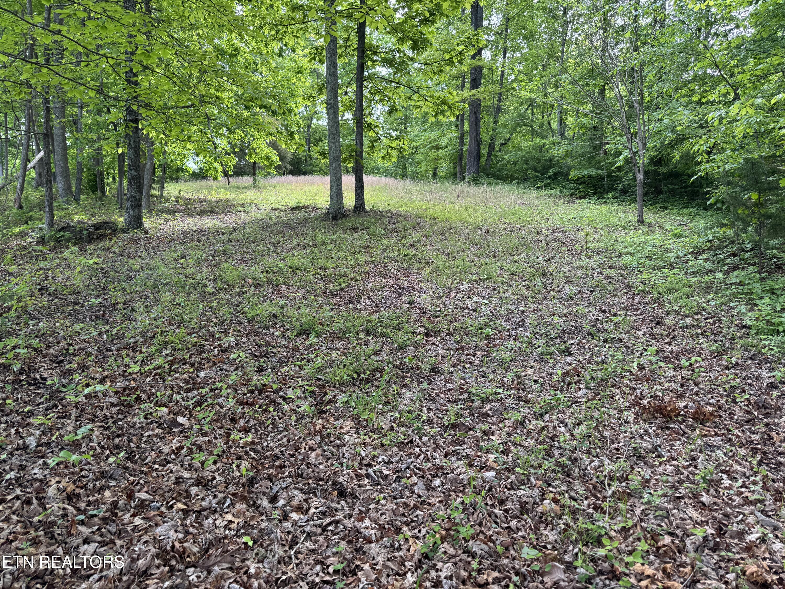 Baldwin Road Tazewell, TN 37879 - Photo 3 of 8 IMG_5696