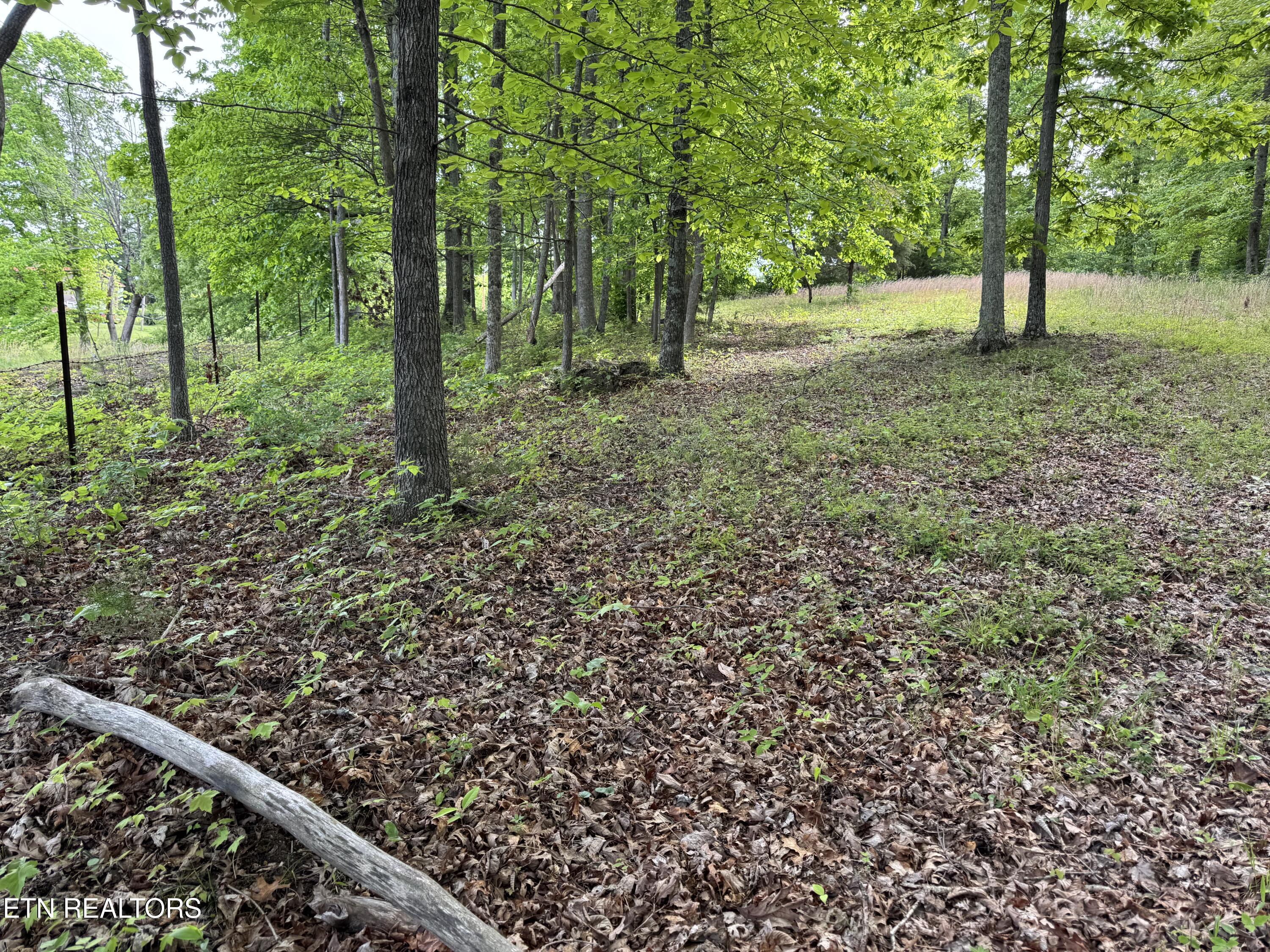 Baldwin Road Tazewell, TN 37879 - Photo 4 of 8 IMG_5697