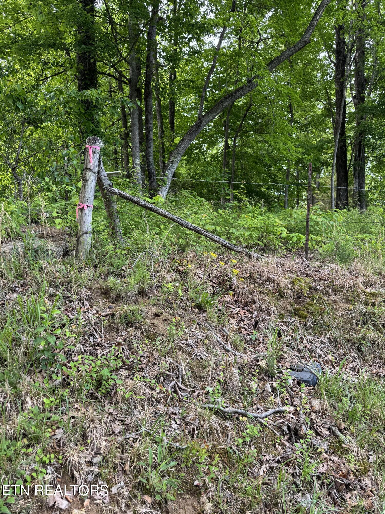 Baldwin Road Tazewell, TN 37879 - Photo 6 of 8 IMG_5699