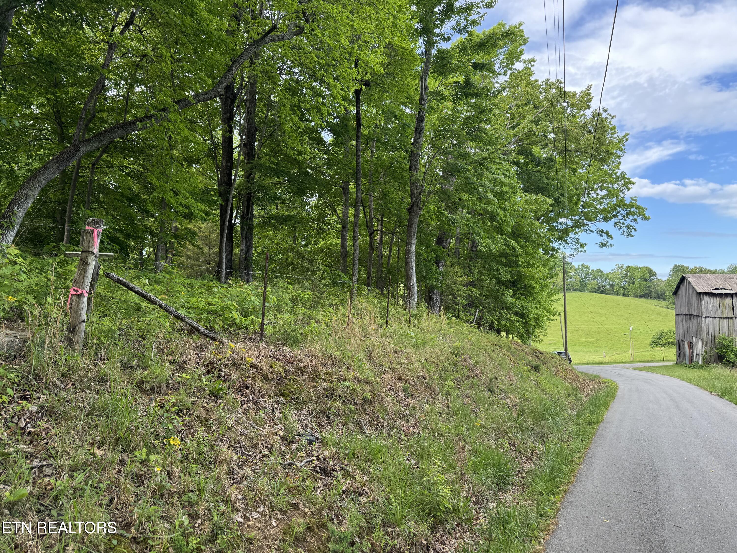 Baldwin Road Tazewell, TN 37879 - Photo 7 of 8 IMG_5700