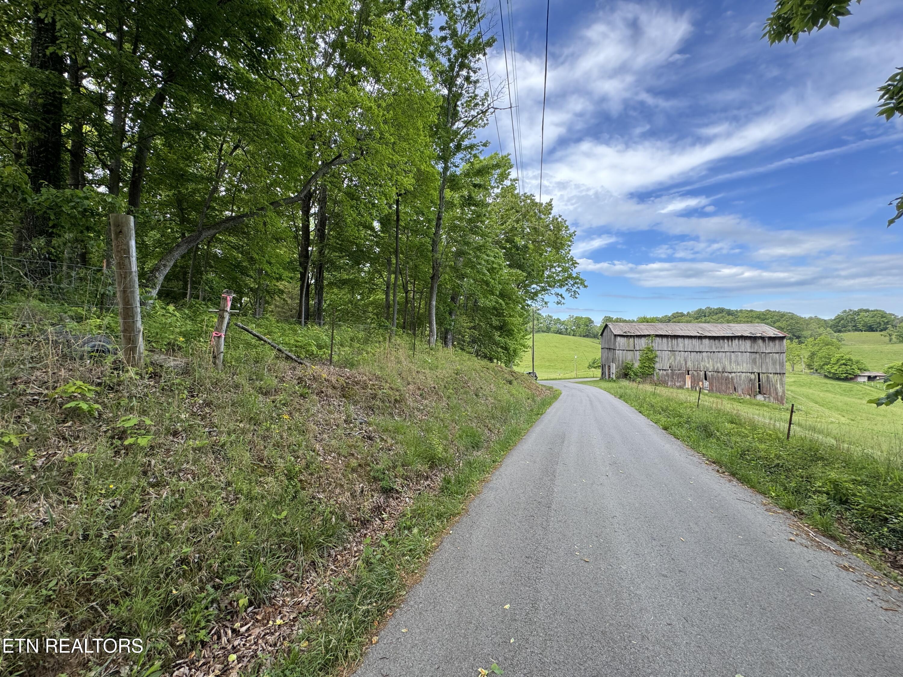 Baldwin Road Tazewell, TN 37879 - Photo 8 of 8 IMG_5701