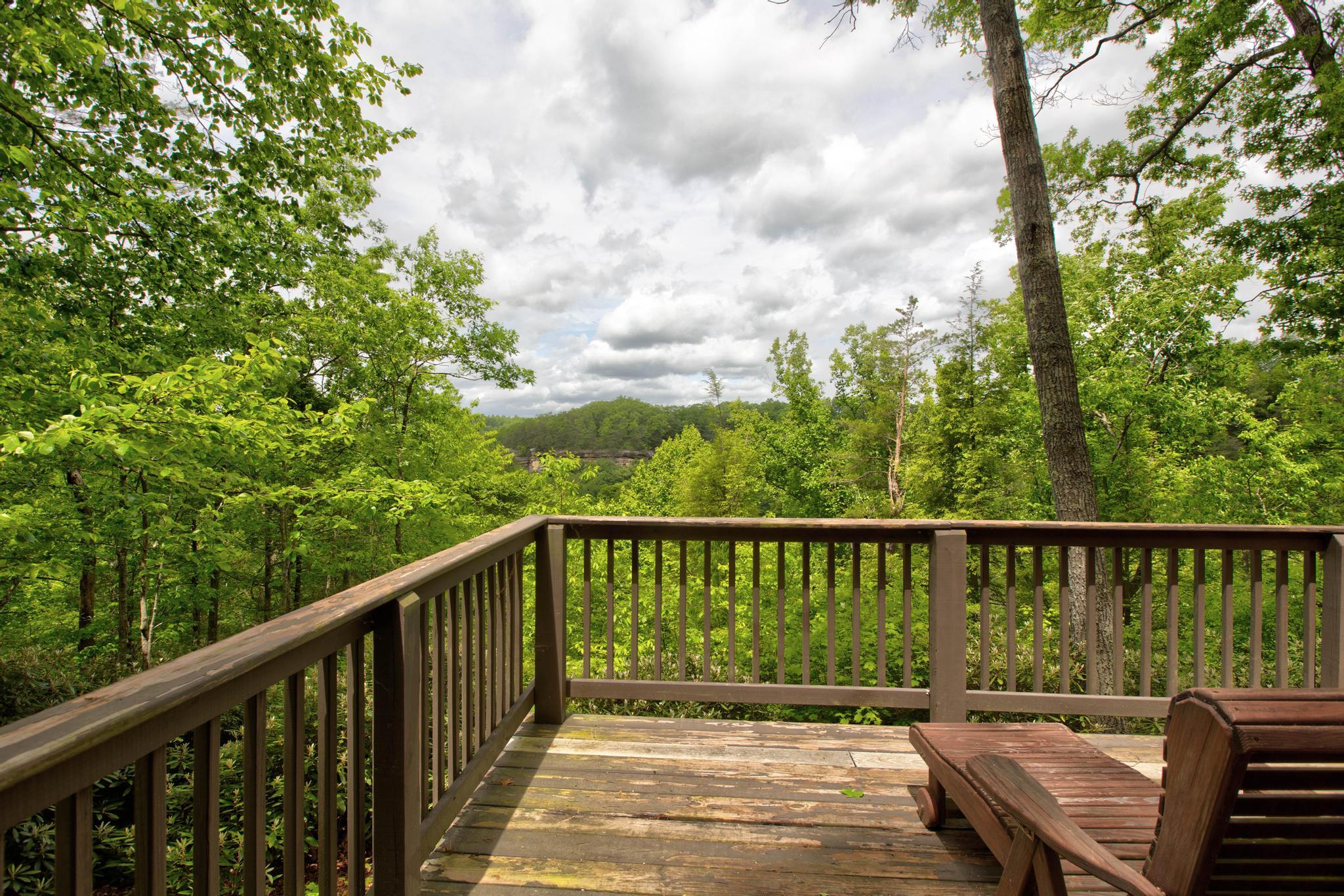 694 Steve Combs Road Wellington, KY 40387 - Photo 19 of 27 PWM25398_399_400