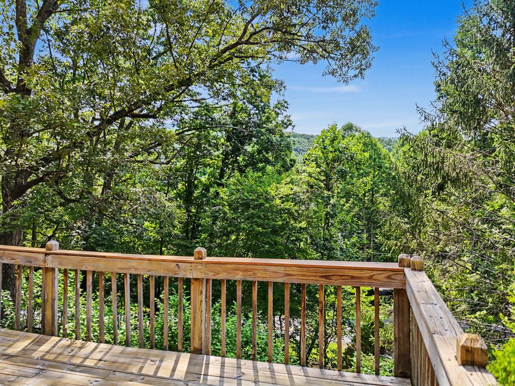 3477 Salem Road Mineral Bluff, GA 30559 - Photo 7 of 55