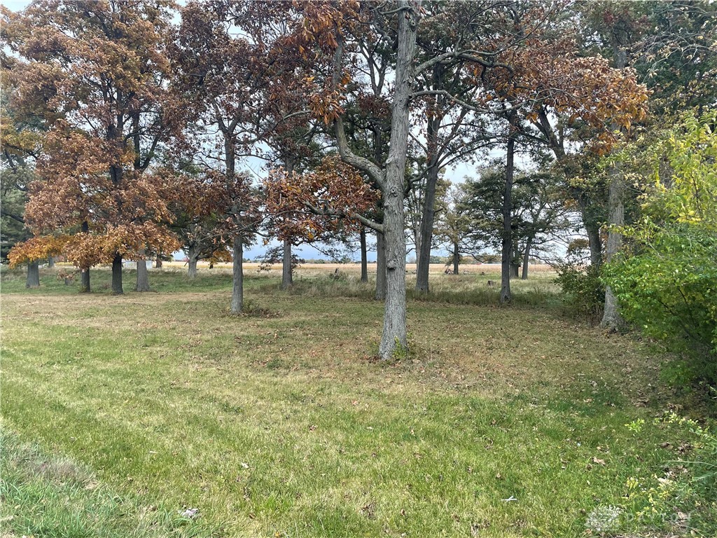 5982 Pitchin Road South Springfield, OH 45502 - Photo 4 of 5