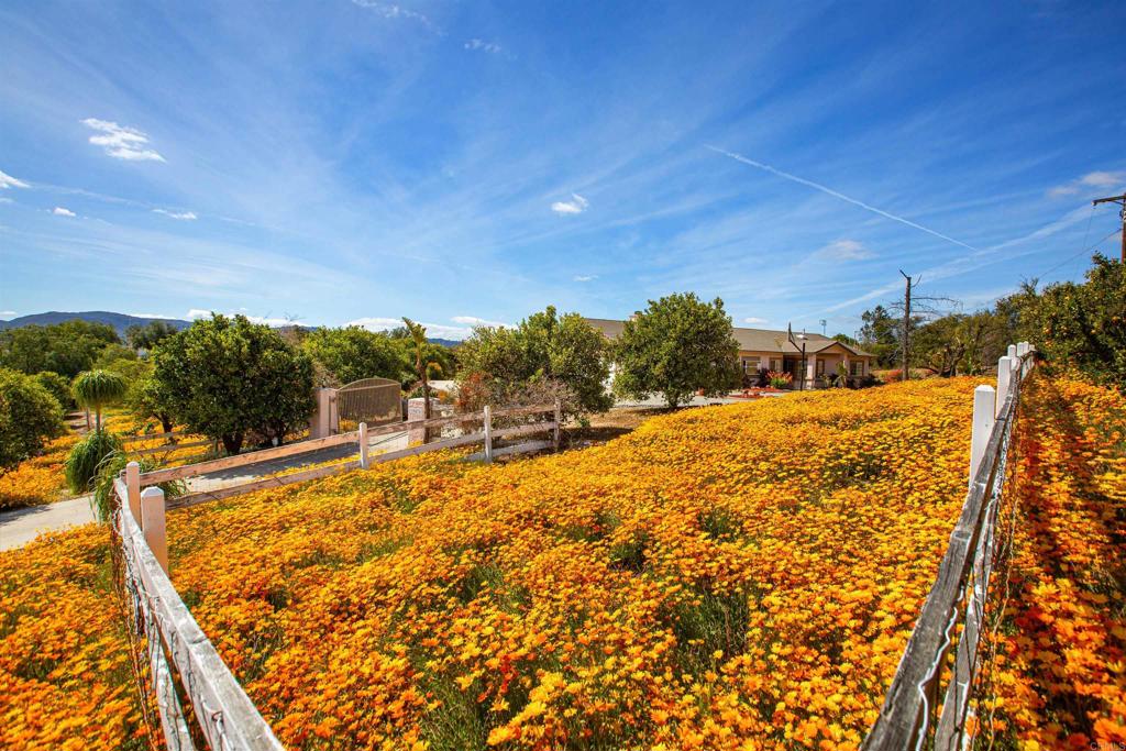 29076 Sunset Road Valley Center, CA 92082 - Photo 54 of 65