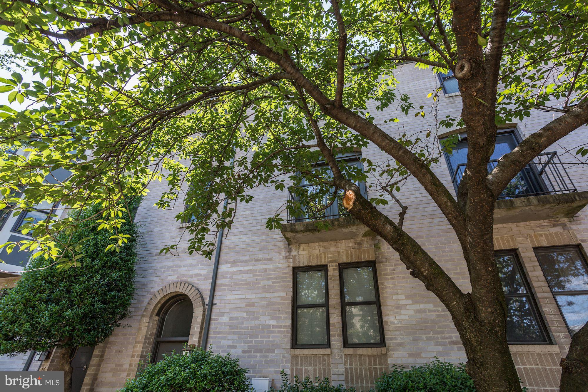 1325 13th Street Northwest, Unit 24 Washington, DC 20005 - Photo 30 of 30 a front view of a house with plants and trees