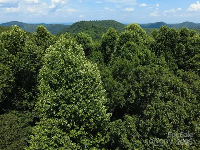 an aerial view of a houses with a yard