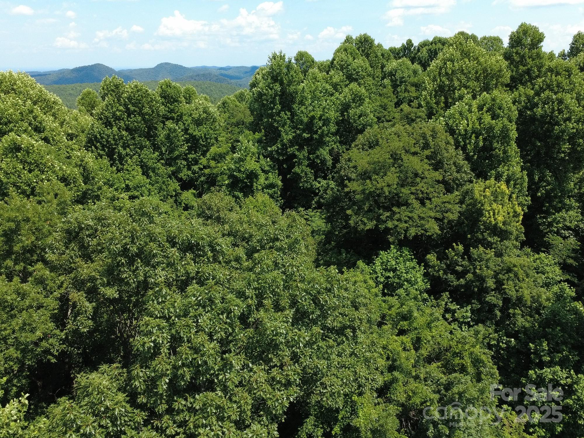 0 Poplar Ridge Lane Morganton, NC 28655 - Photo 17 of 20 an aerial view of a house with a yard