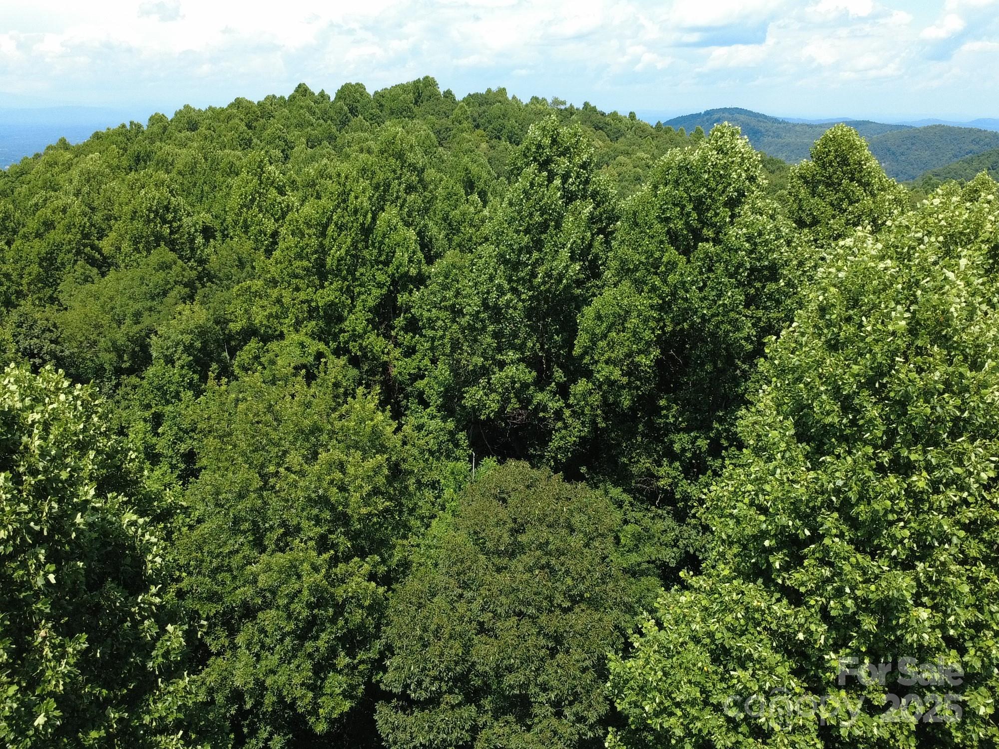 0 Poplar Ridge Lane Morganton, NC 28655 - Photo 18 of 20 an aerial view of a house with a yard
