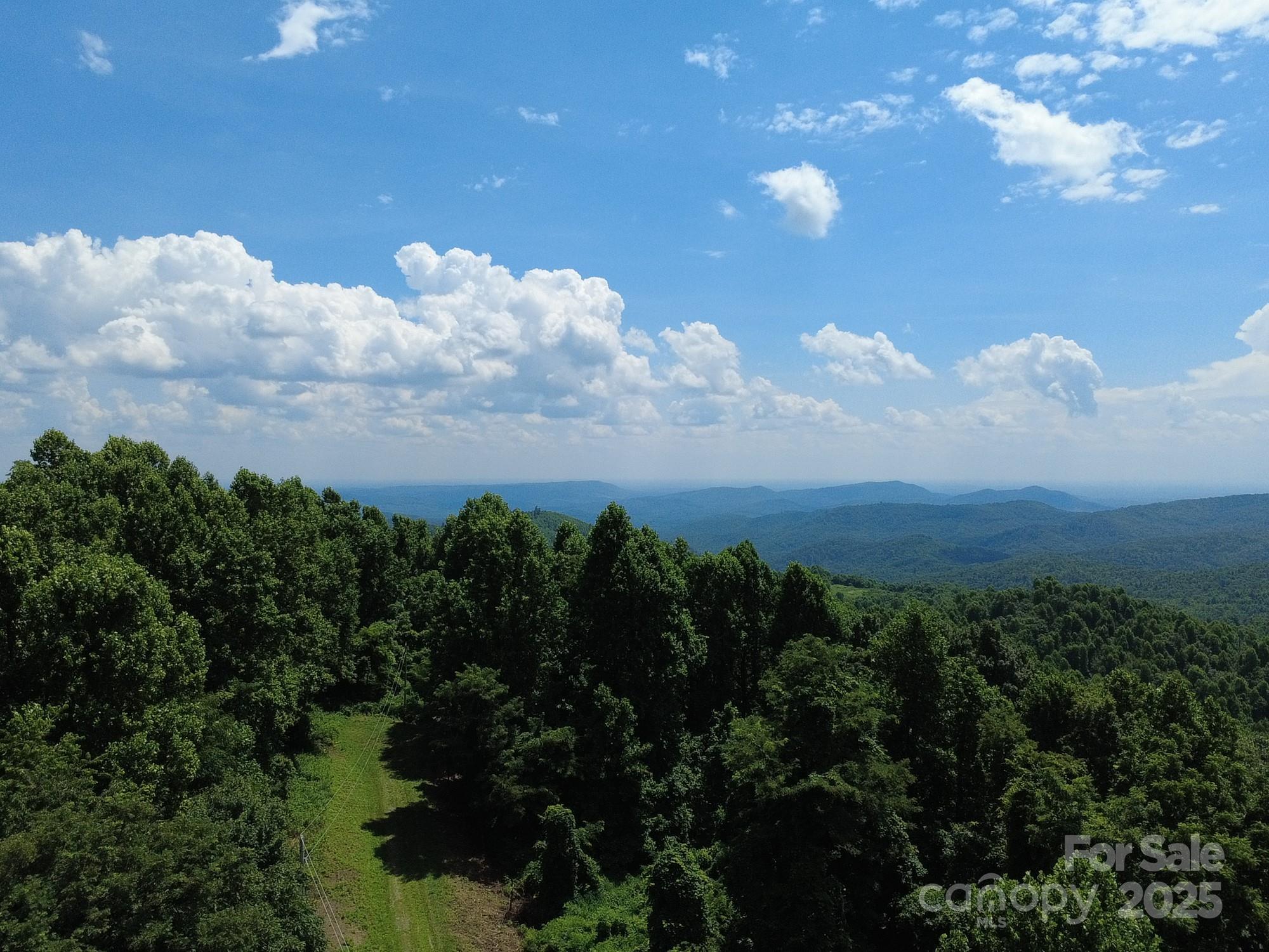 0 Poplar Ridge Lane Morganton, NC 28655 - Photo 2 of 20 a view of a bunch of trees in a yard