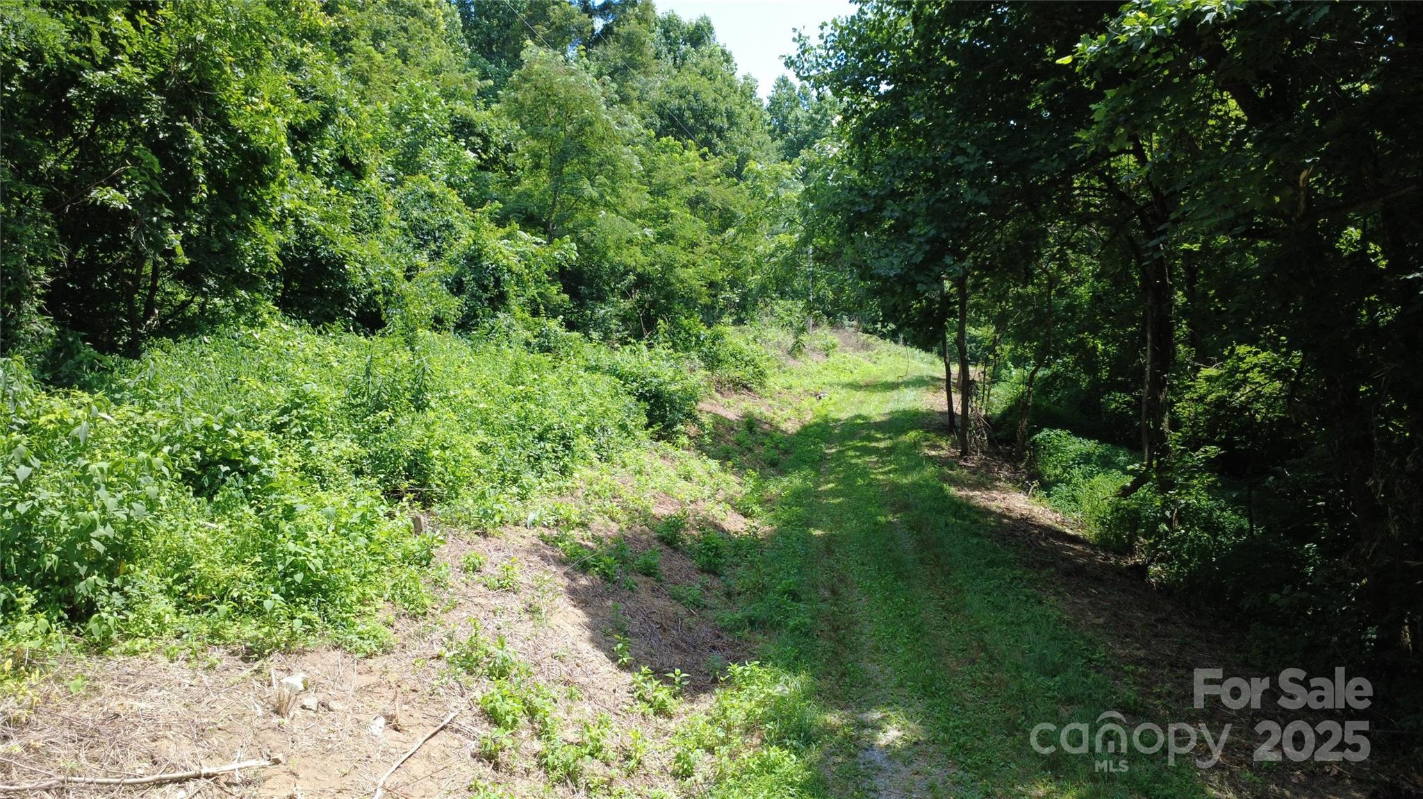 0 Poplar Ridge Lane Morganton, NC 28655 - Photo 3 of 20 a view of a lush green forest