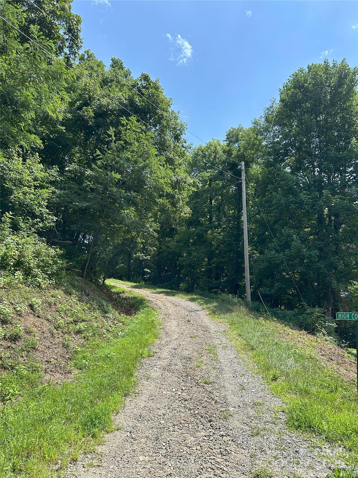 0 Poplar Ridge Lane Morganton, NC 28655 - Photo 6 of 20 a view of a yard with plants and large trees