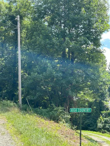a view of a park that has large trees