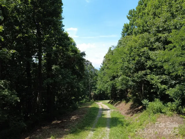 a view of swimming pool and lake view