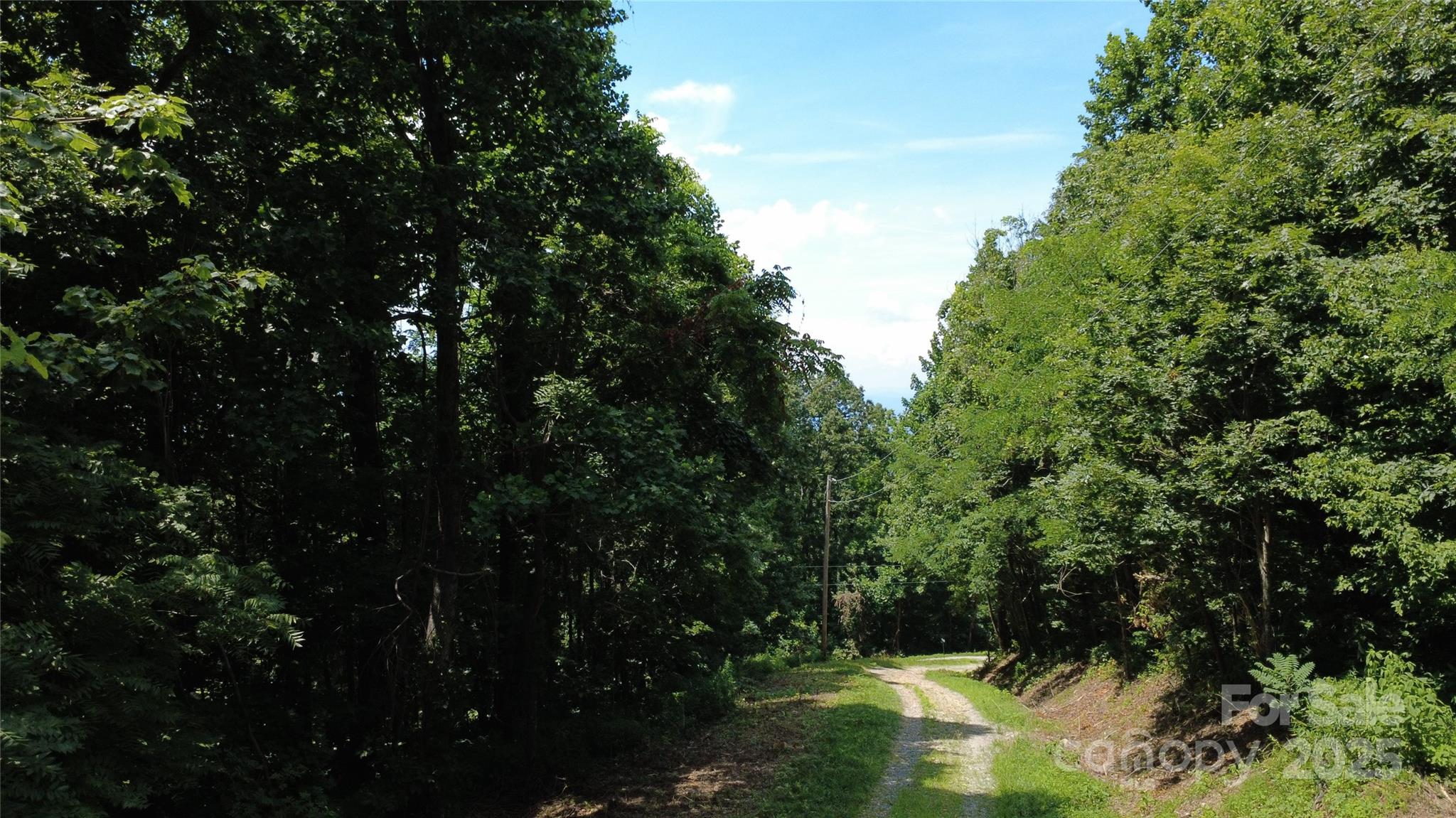 0 Poplar Ridge Lane Morganton, NC 28655 - Photo 9 of 20 a view of yard
