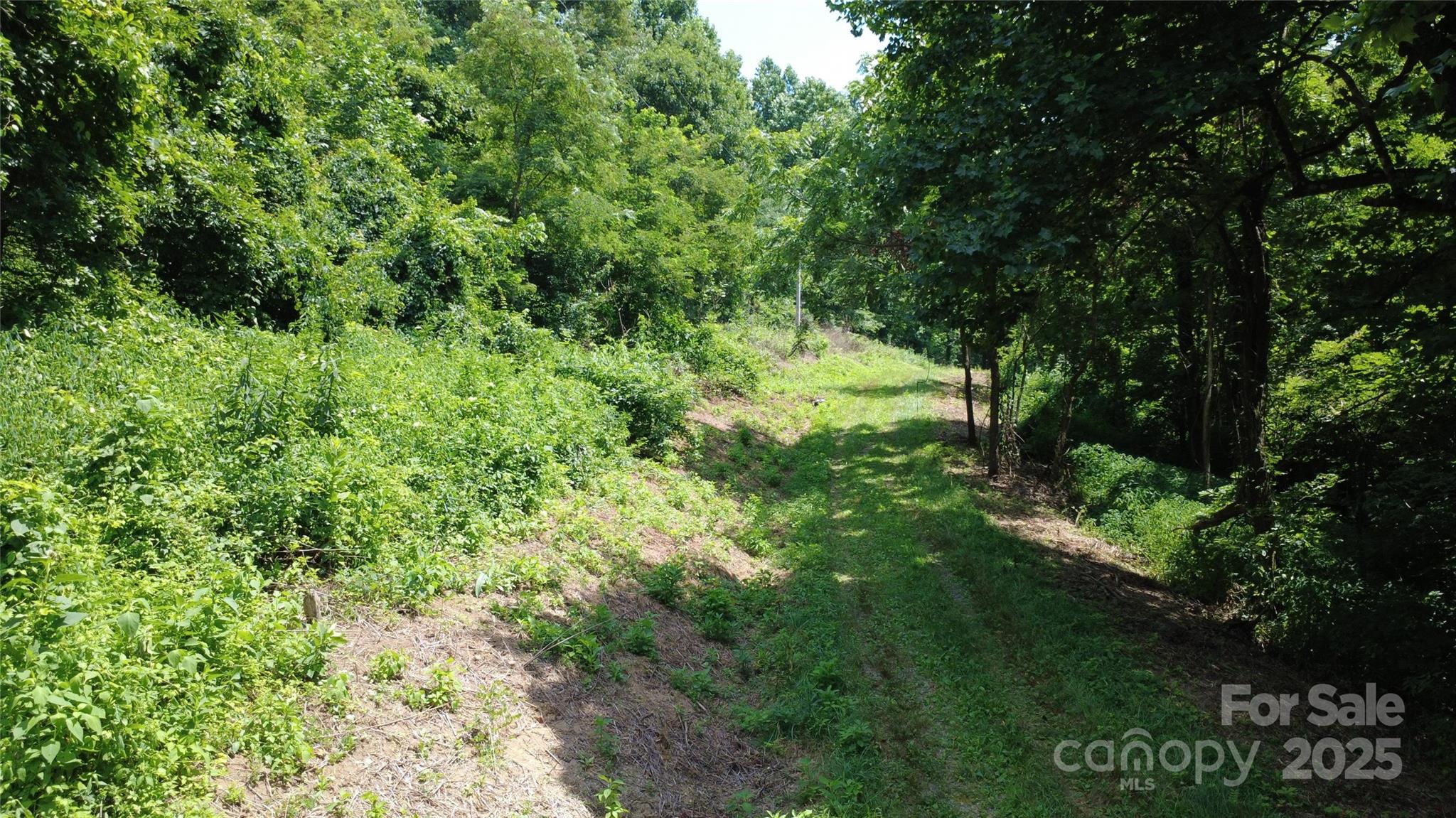 0 Poplar Ridge Lane Morganton, NC 28655 - Photo 10 of 20 a view of a garden