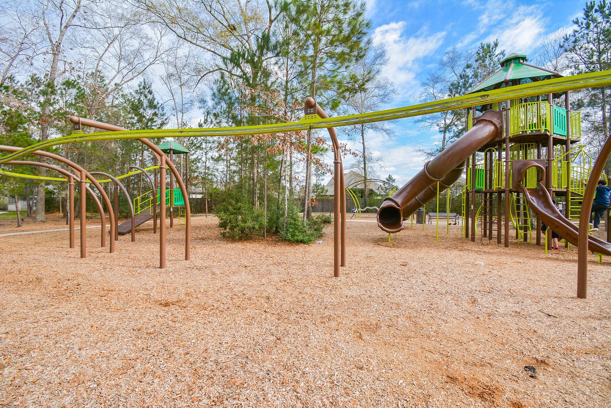19642 Rupetti Drive New Caney, TX 77357 - Photo 13 of 14 a view of trees and park