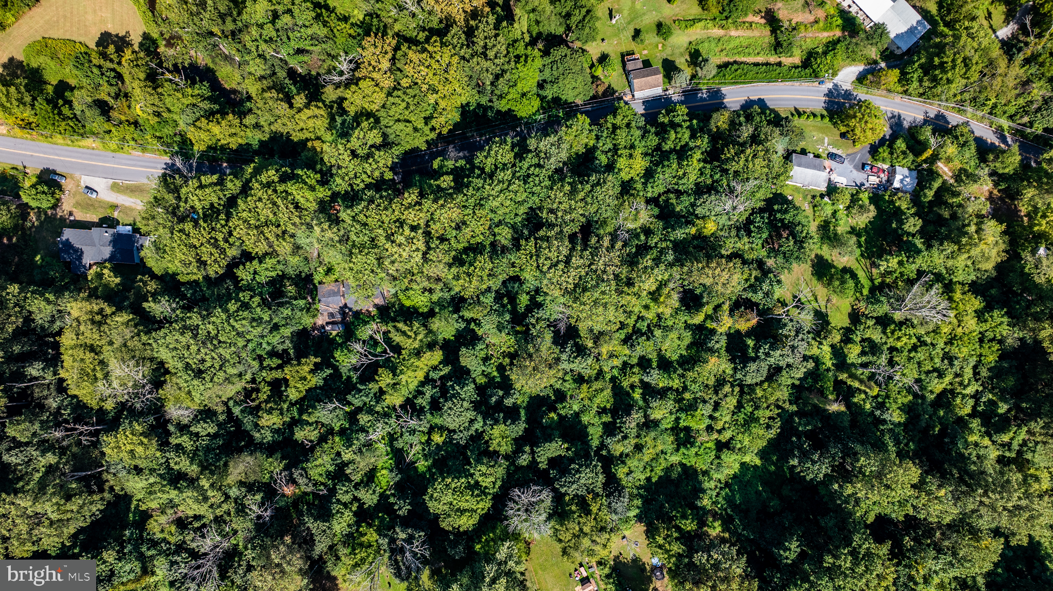 717 Wagontown Road Coatesville, PA 19320 - Photo 4 of 20 a view of a tree