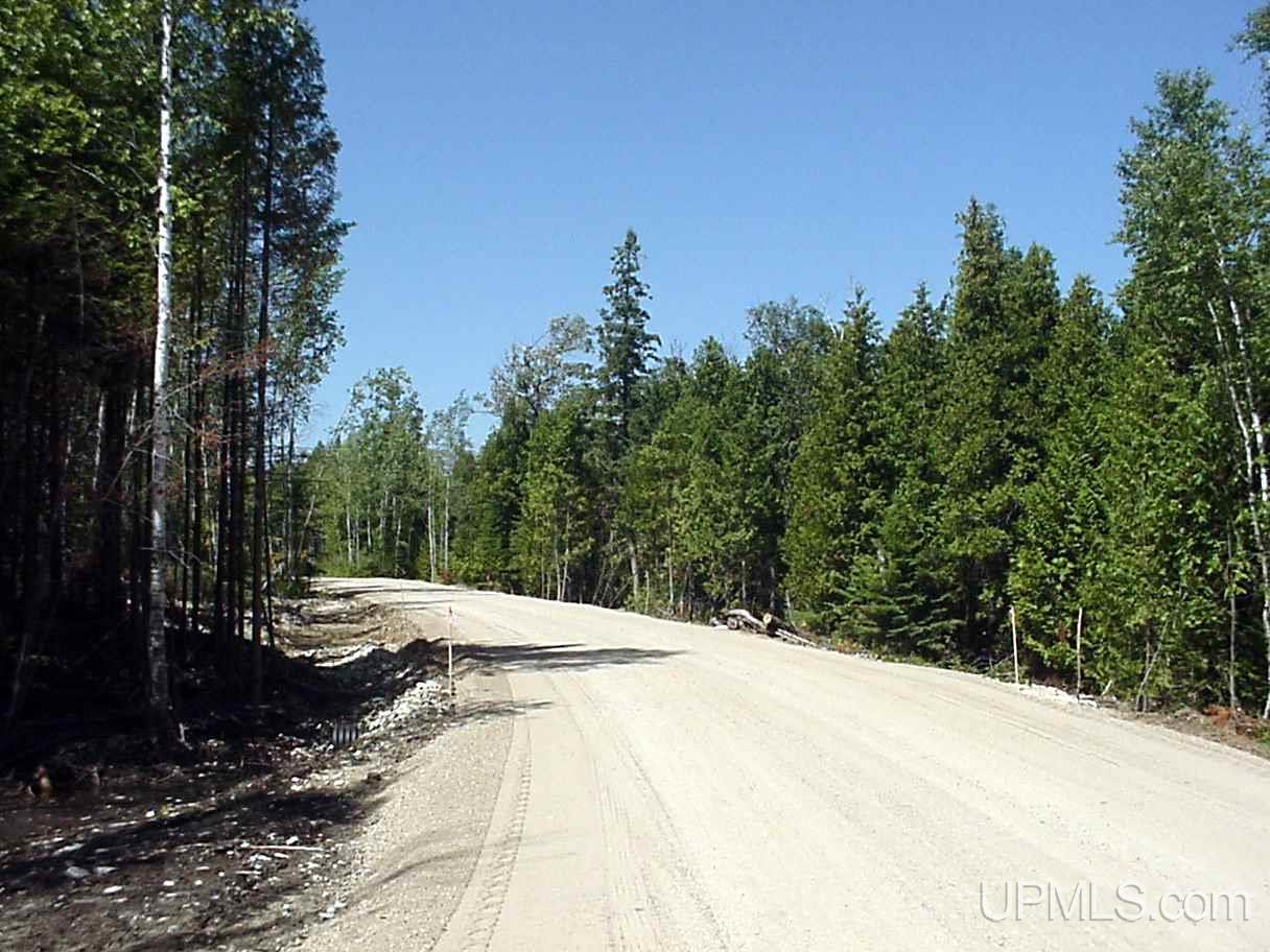 Tbd Hemlock Views Trail, Unit 10 Manistique, MI 49854 - Photo 10 of 10