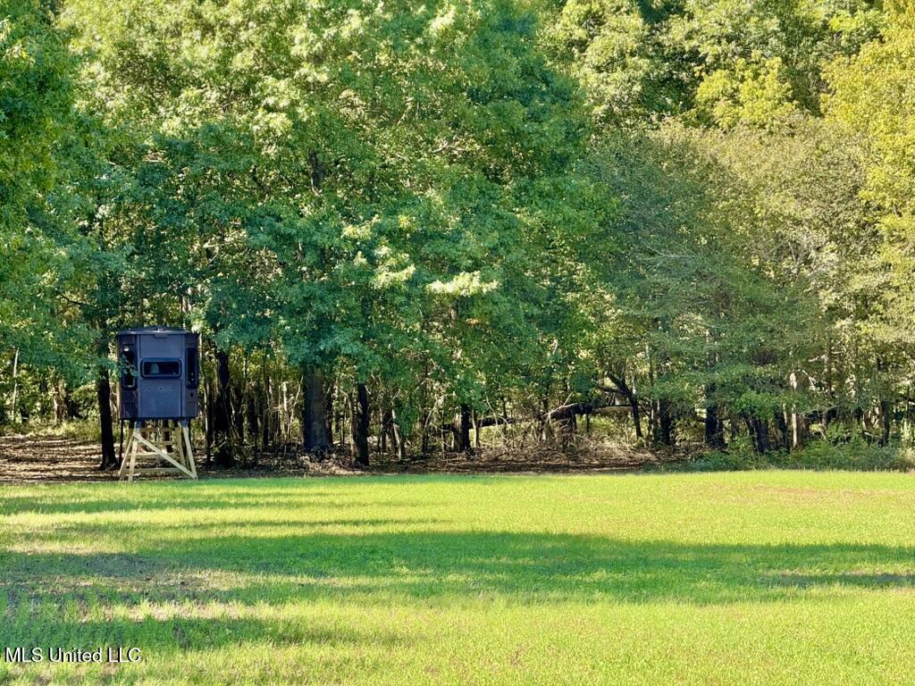 0B0B90FF-AA38-44C6-9DE6-407424B8D366_1_1