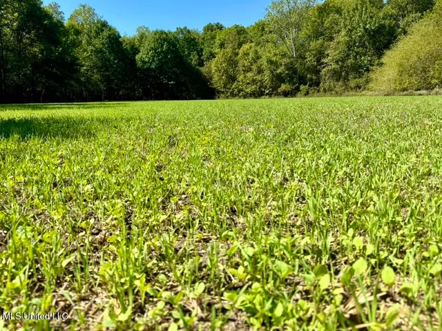 $445,750 | 1 Highway 16, Rolling Fork, MS 39159