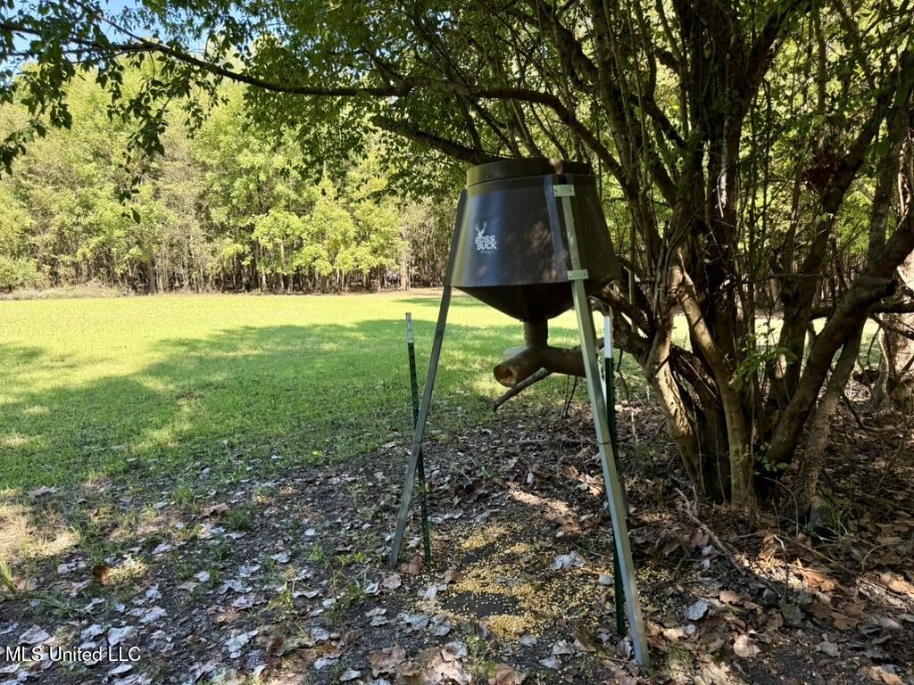 1 Highway 16 Rolling Fork, MS 39159 - Photo 8 of 37 4900FF69-270F-4DBF-9573-E35096BD266F_1_1