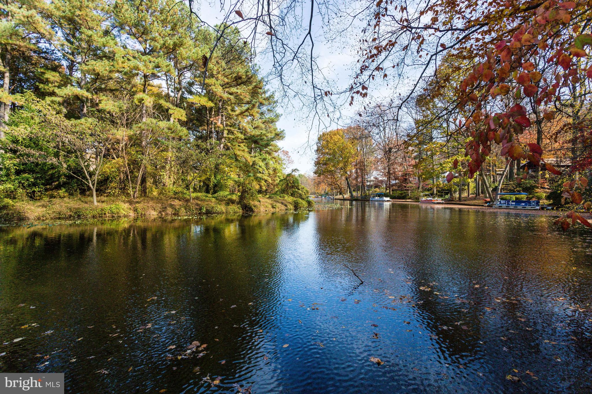 3418 Blair Road Falls Church, VA 22041 - Photo 74 of 80 Lake Barcroft