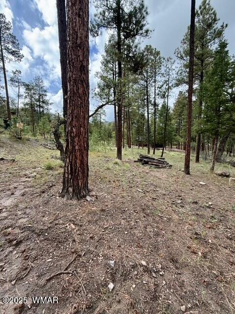 7 Eric Lane Alpine, AZ 85920 - Photo 3 of 17