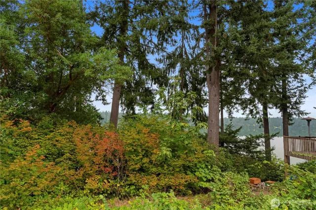 a plant view in yard