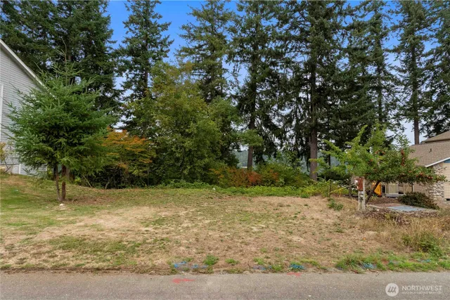 a view of outdoor space with deck and trees