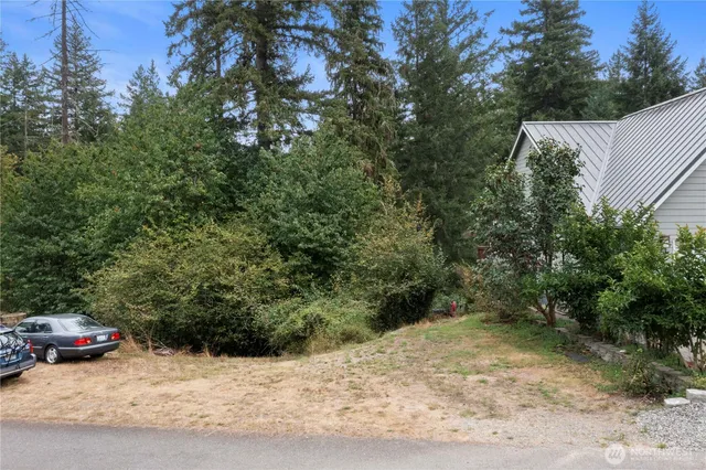 a view of a yard with a car parked