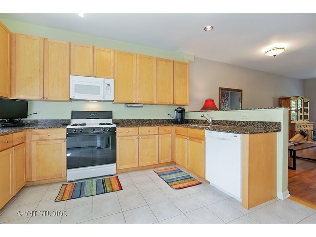 2367 East 70th Place, Unit 1A Chicago, IL 60649 - Photo 4 of 15