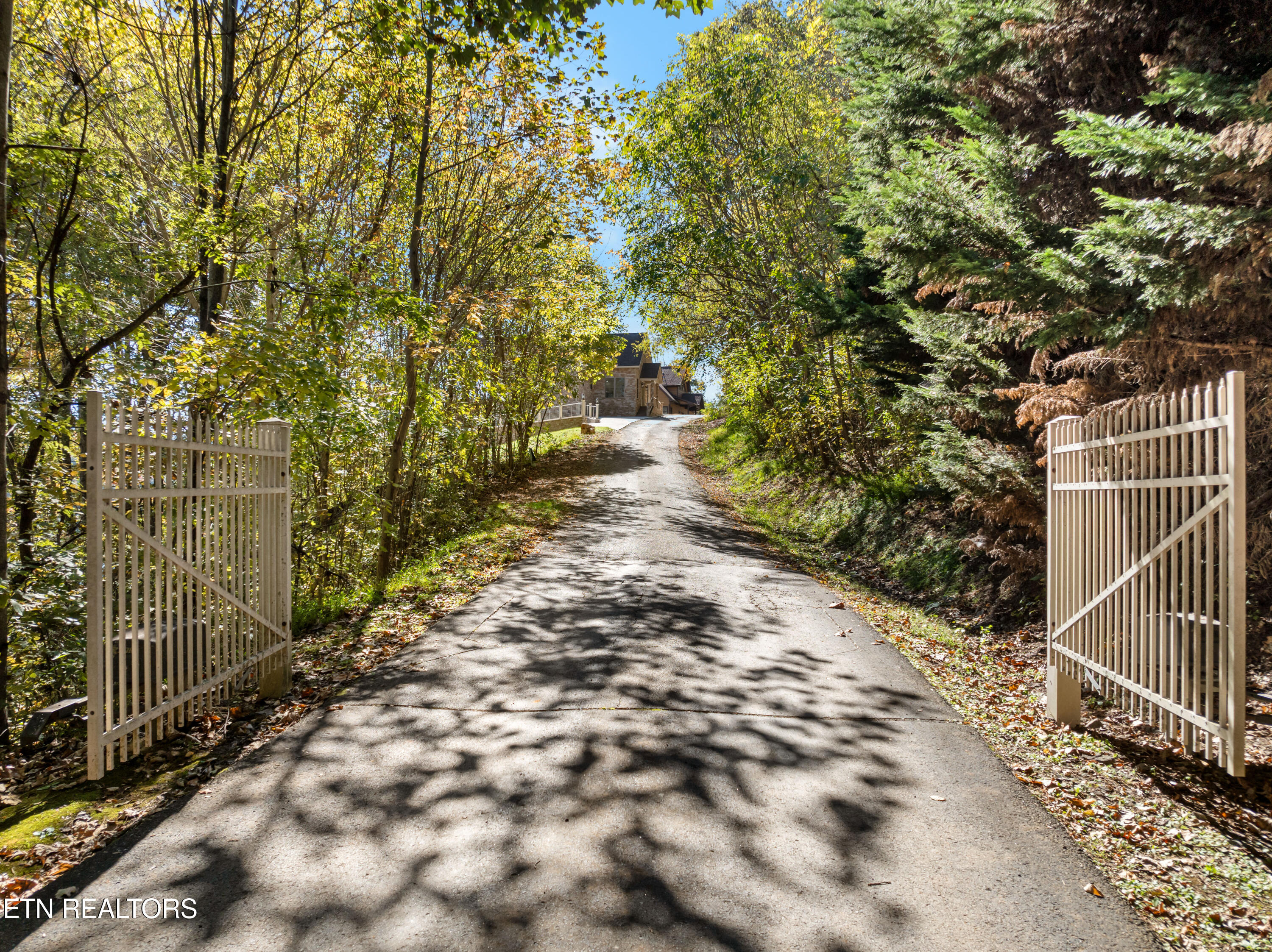 293 Platinum Drive New Tazewell, TN 37825 - Photo 49 of 53 DJI_0688_Original