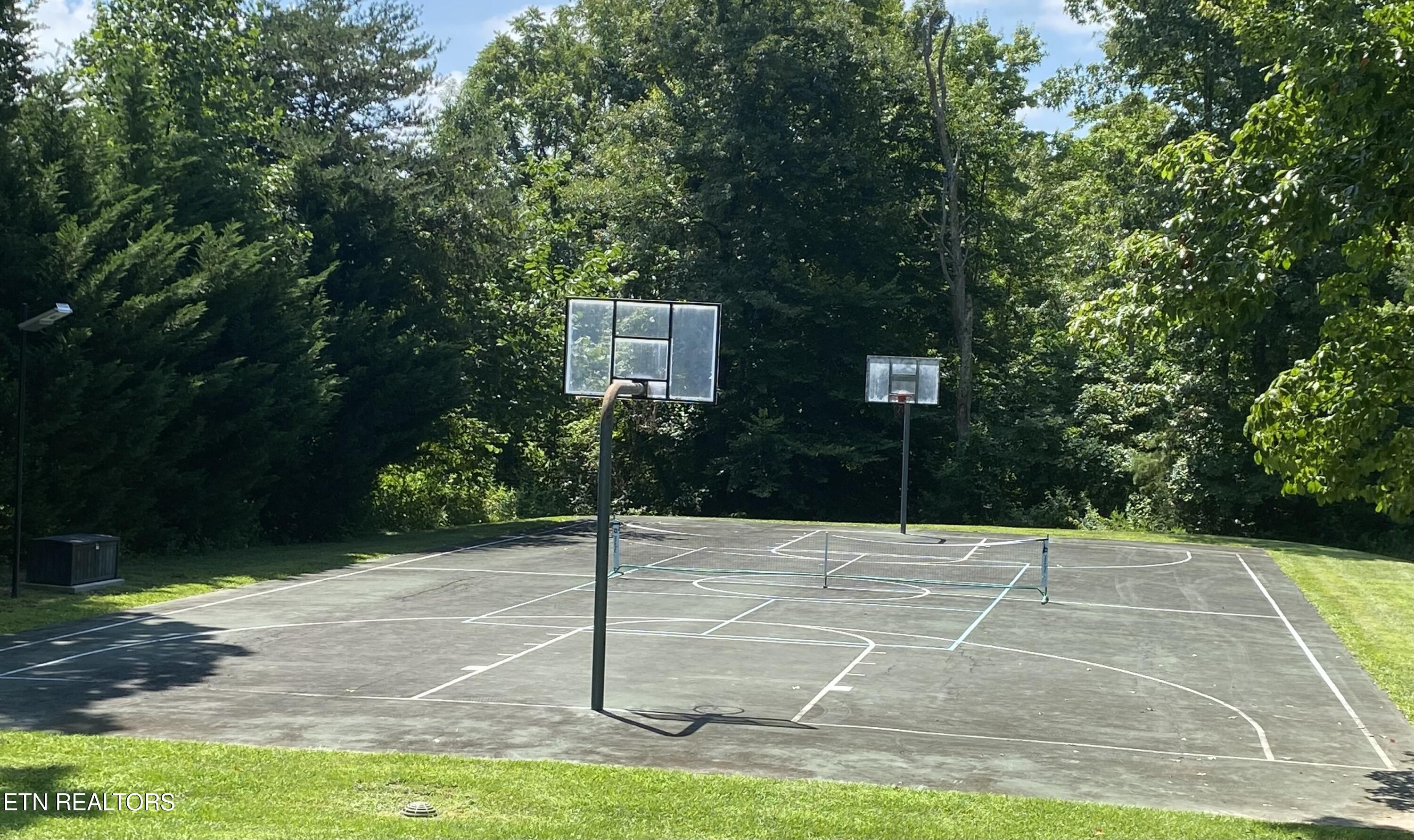 293 Platinum Drive New Tazewell, TN 37825 - Photo 51 of 53 IMG_4666