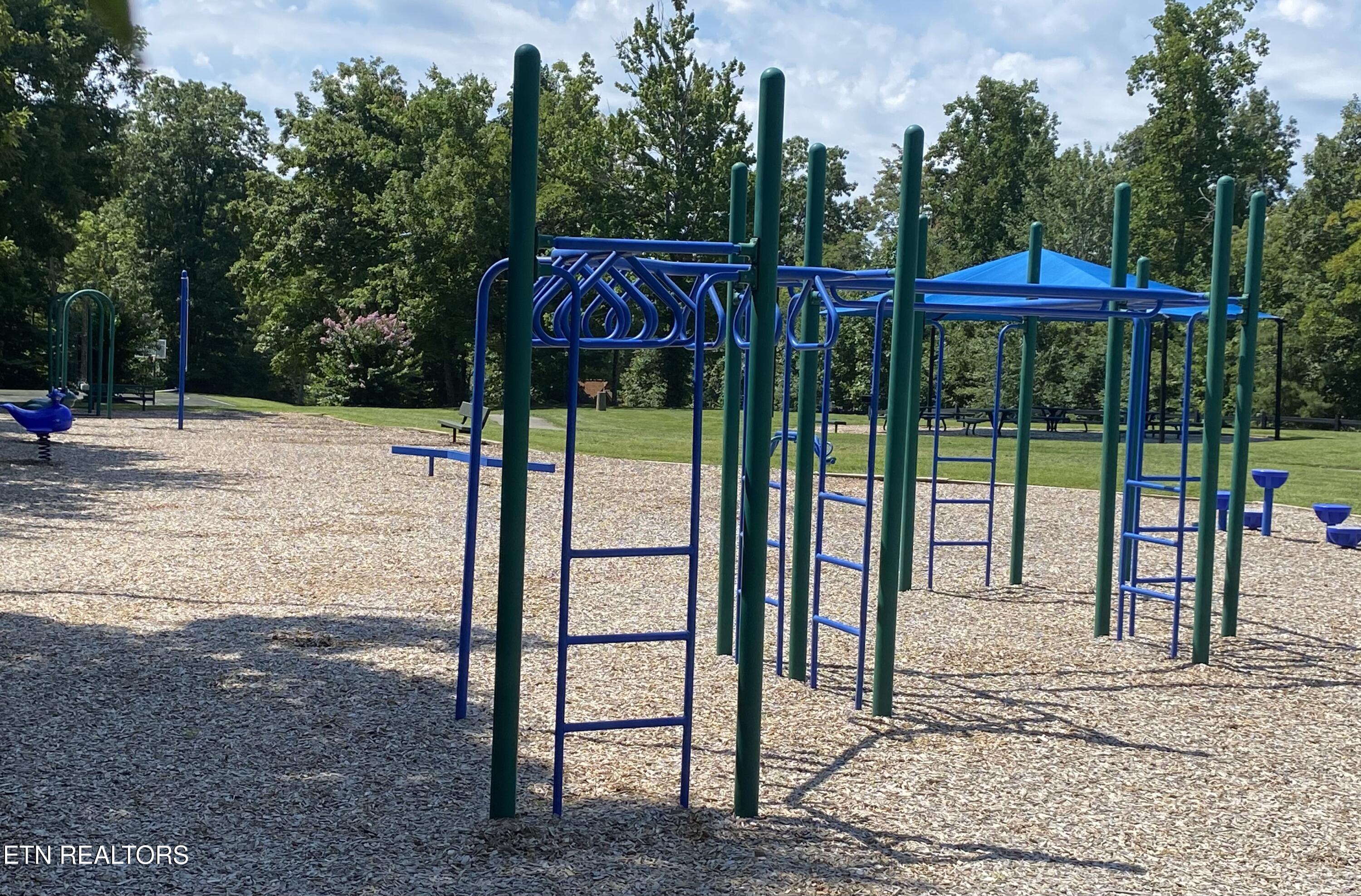 293 Platinum Drive New Tazewell, TN 37825 - Photo 52 of 53 IMG_4662