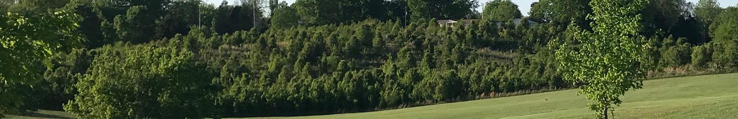 0 North Trough Springs Road Adams, TN 37010 - Photo 3 of 3 a view of a lush green space