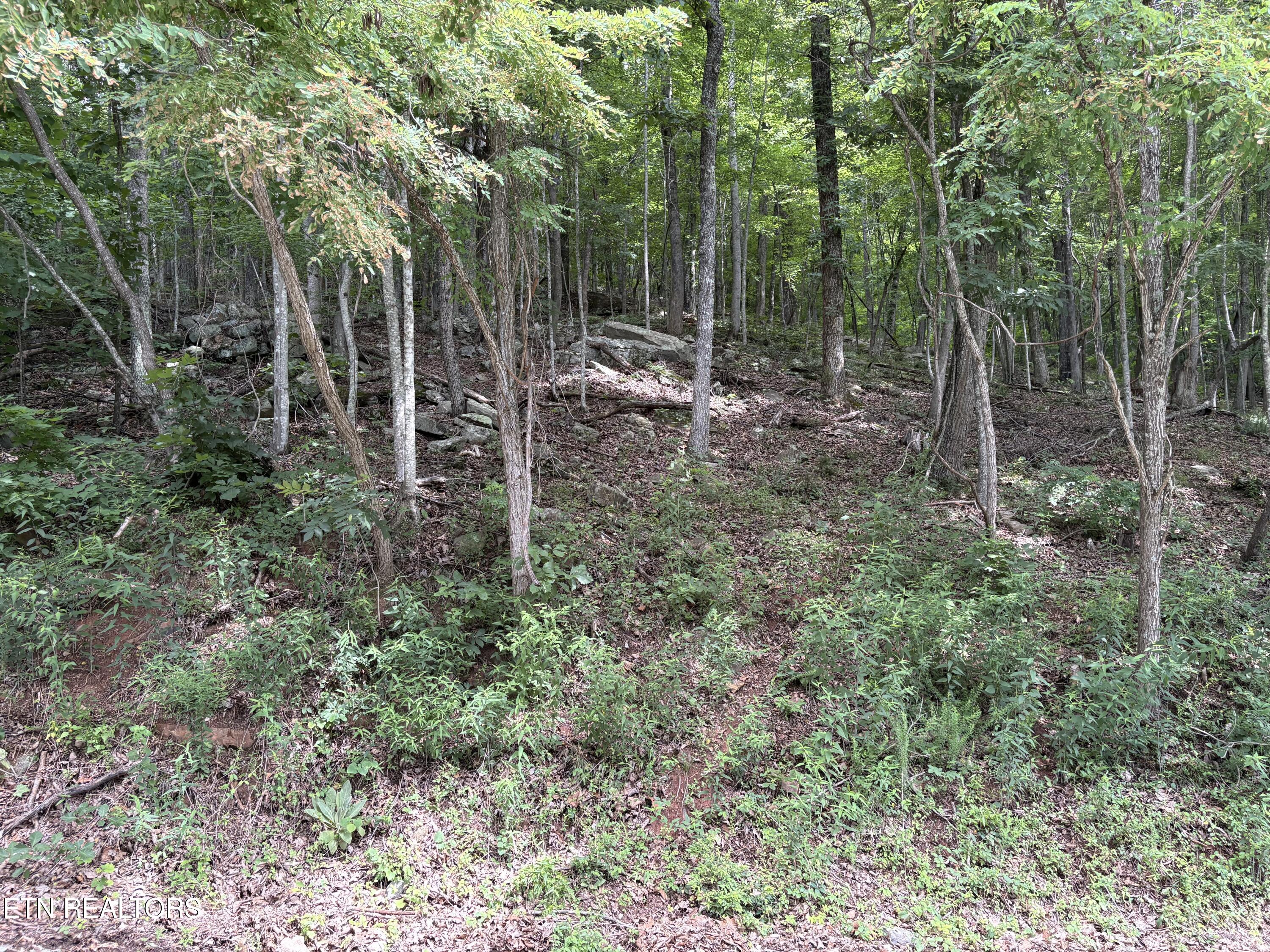 Whistle Valley Road, Unit 130 New Tazewell, TN 37825 - Photo 3 of 11 IMG_0269