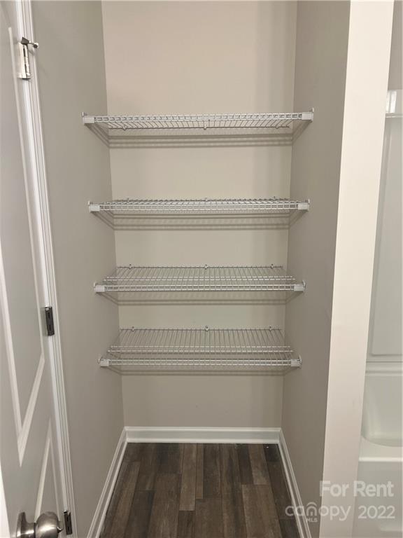 4852 Stone Drive, Unit 127 Conover, NC 28613 - Photo 21 of 34 a view of walk in closet with empty racks