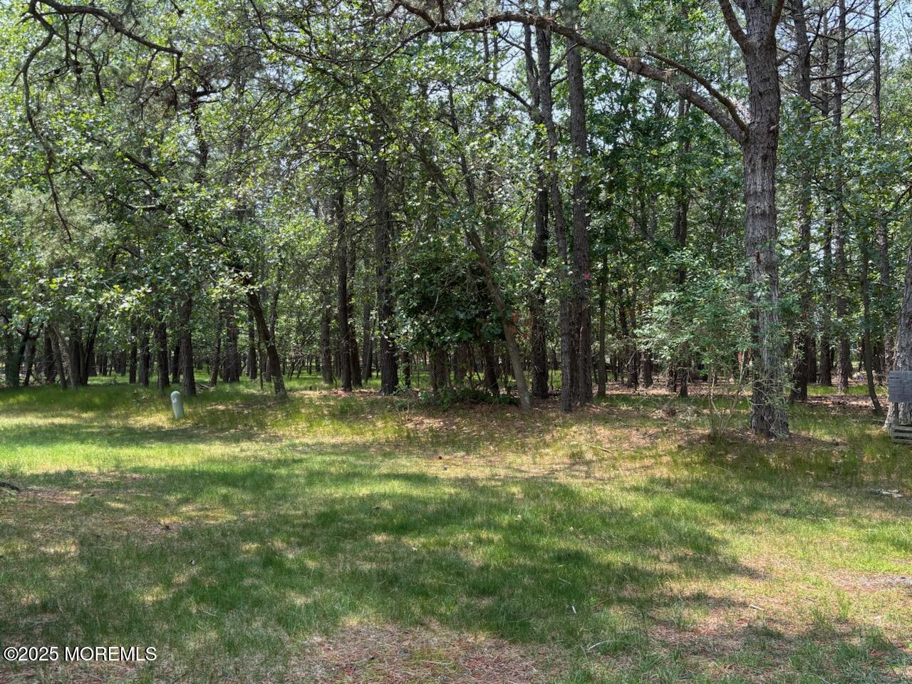 194 Constitution Boulevard Whiting, NJ 08759 - Photo 5 of 33 IMG_0992