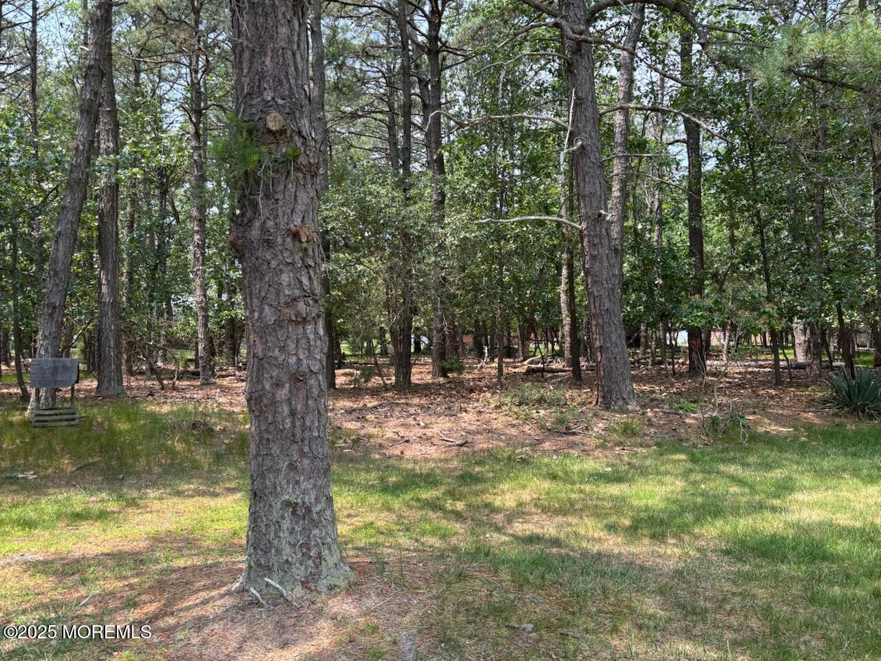 194 Constitution Boulevard Whiting, NJ 08759 - Photo 6 of 33 IMG_0993