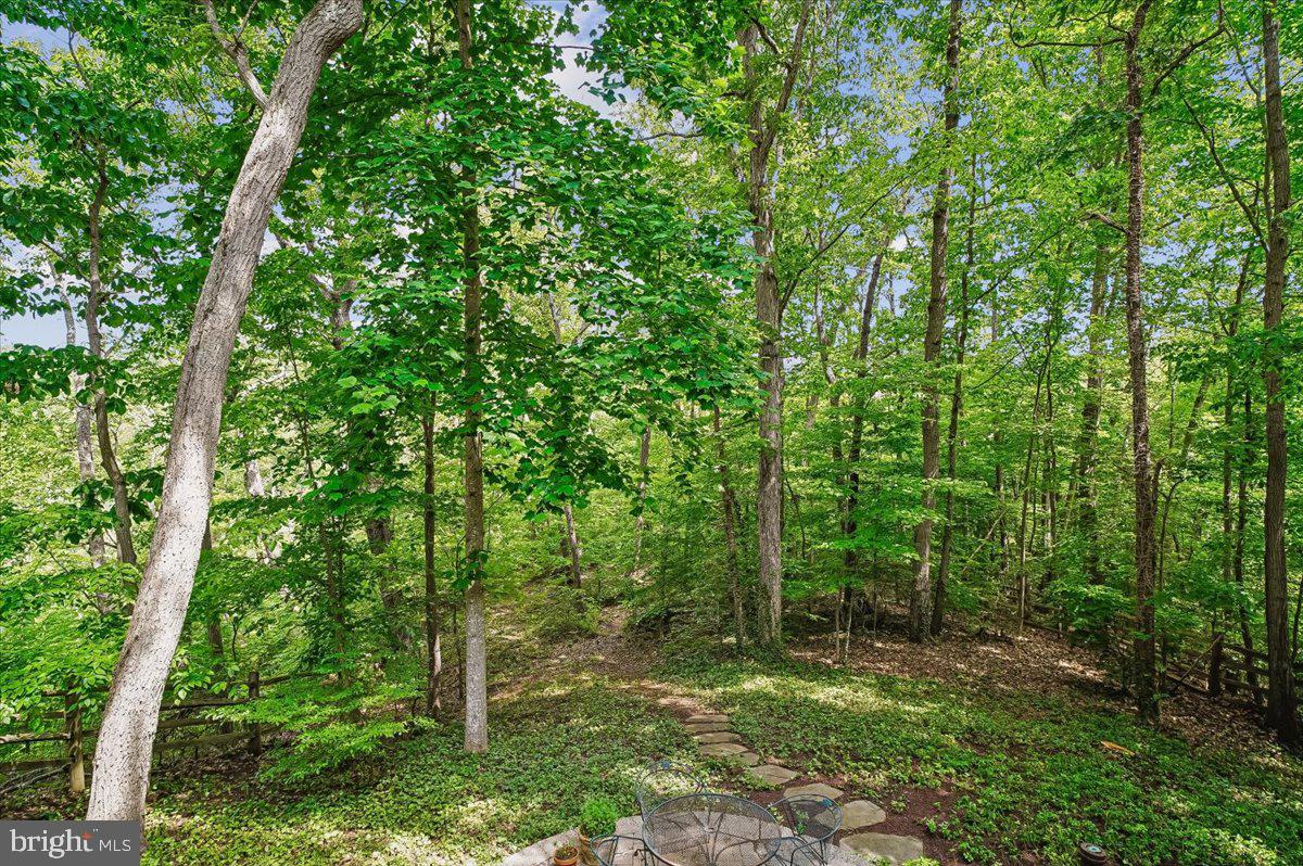 120 Kingswood Road Annapolis, MD 21401 - Photo 52 of 56 Backyard