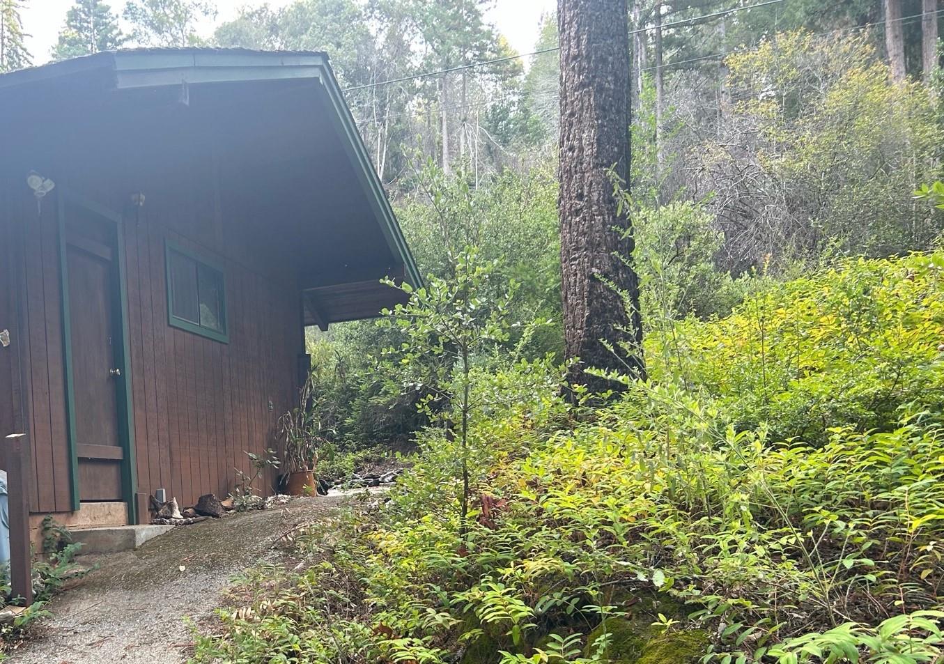 372 Lake Drive Boulder Creek, CA 95006 - Photo 3 of 4