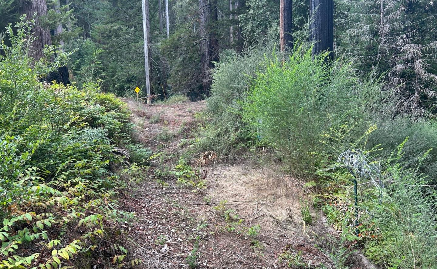 372 Lake Drive Boulder Creek, CA 95006 - Photo 4 of 4